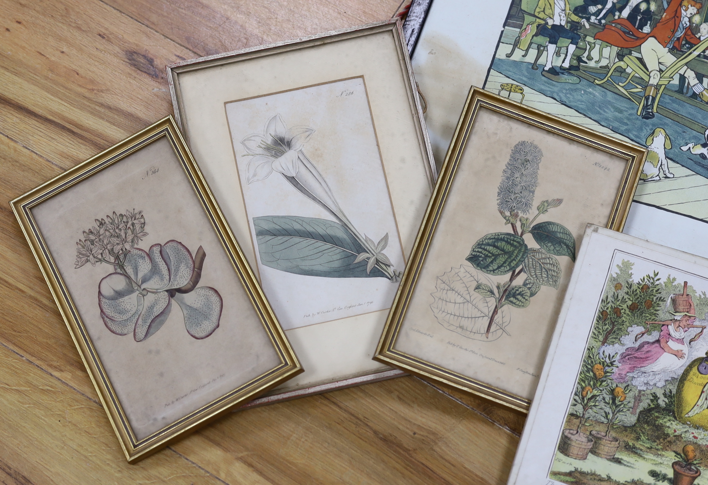 After Cecil Aldin (1870-1935) and James Gilray (1756-1815), two colour prints together with five antique botanical prints, largest 42 x 60cm